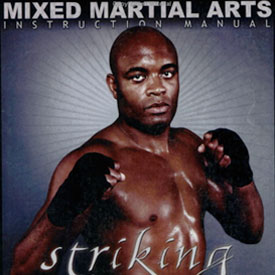 Striking by Anderson Silva