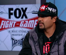 Fox Fight Game Talks Fight Gear