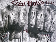 Ecko MMA Fists of Fury T-shirt