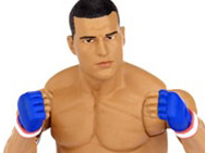 jakks-shogun-rua-1