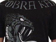 warrior-t-shirt-1