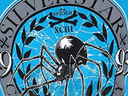 silver-star-spider-silva