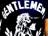 werdum-shirt