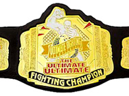 jakks pacific ufc belt