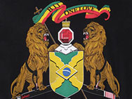 do-or-die-rasta-shirt