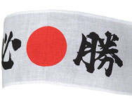 gsp-ufc-137-headband