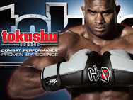 hayabusa-tokushu-series