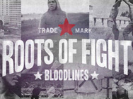 roots-of-fight-interview
