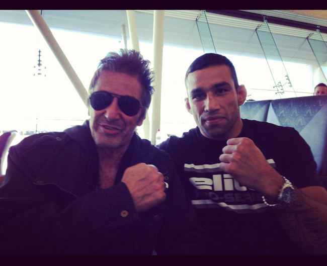 fabricio-werdum-mma-elite