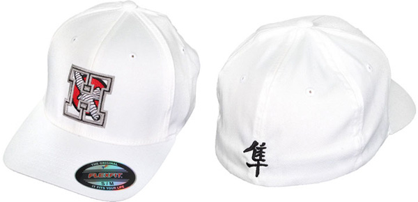 hayabusa-team-h-hat