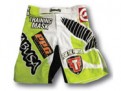 patrick-cote-hayabusa-ufc-158-shorts