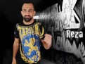 tapout-reza-madadi-gear