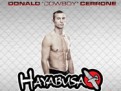 cowboy-cerrone-hayabusa