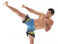 lyoto-machida-venum-shorts