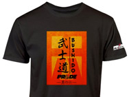 pride-lantern-shirt