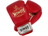 windy-thai-fight-gloves