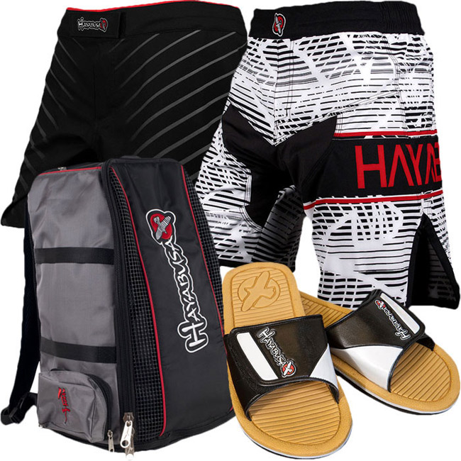 hayabusa-spring-overhaul-bundle