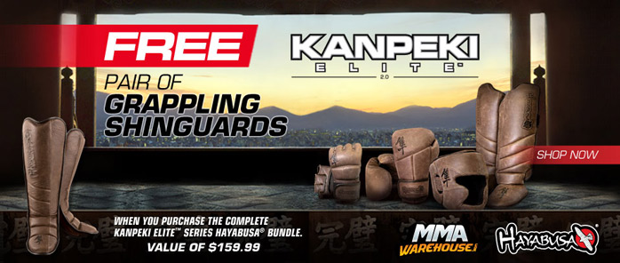 hayabusa-kanpeki-shinguard-deal