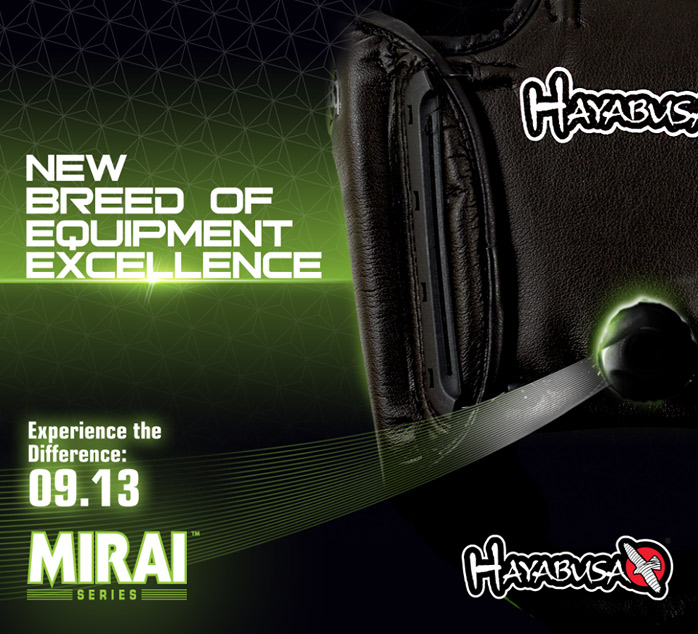 hayabusa-mirai-series-teaser-3