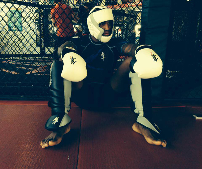 francis-carmont-hayabusa