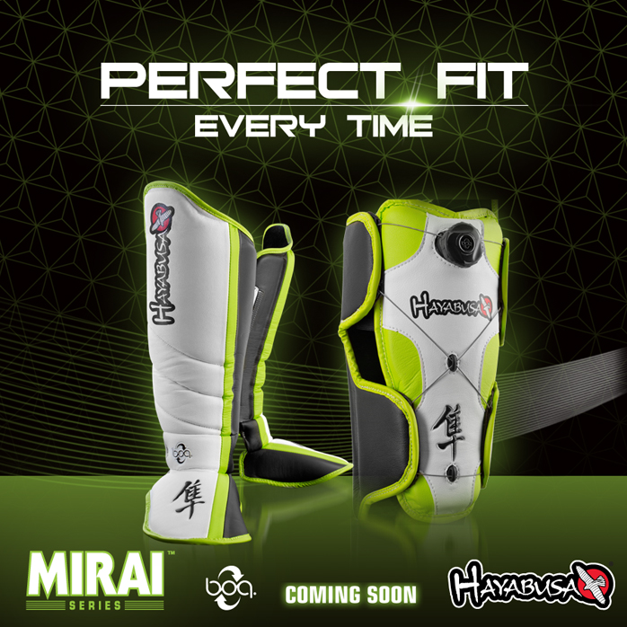 hayabusa-mirai-series-shinguards