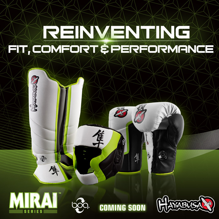 hayabusa mirai series striking gloves