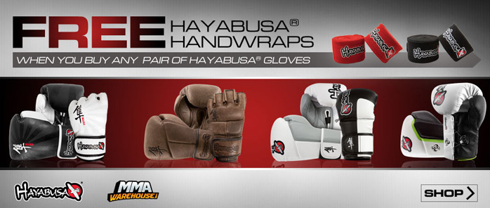 hayabusa-handwrap-deal