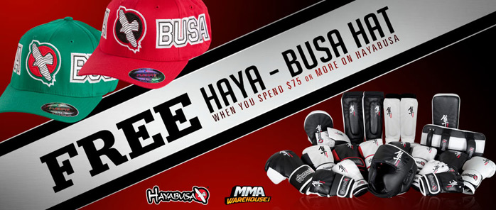 free-hayabusa-hat-offer
