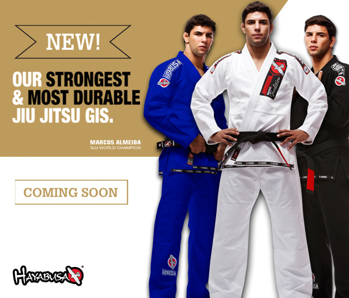 new-hayabusa-gi
