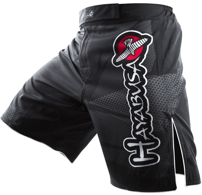 hayabusa-metaru-short-1
