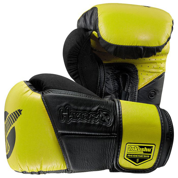 hayabusa tokushu regenesis boxing gloves