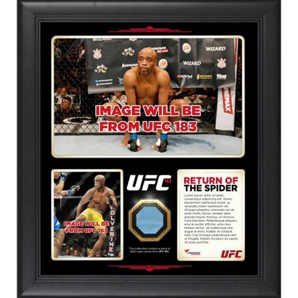 anderson-silva-ufc-183-victory-plaque