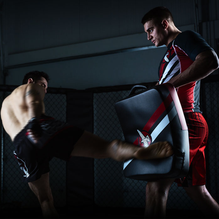 hayabusa-elevate-pro-kick-shield