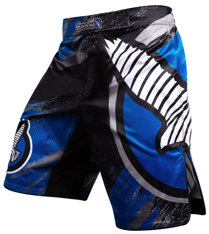 hayabusa-chikara-3-fight-shorts-blue-2