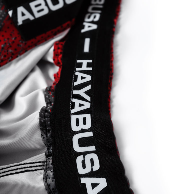 hayabusa-chikara-3-shorts-2