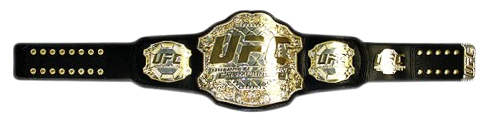 UFC Replica Championship Belts | FighterXFashion.com