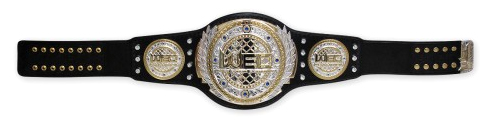 UFC Replica Championship Belts | FighterXFashion.com