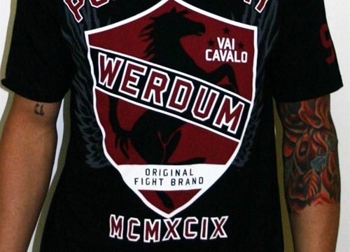punishment-fabricio-werdum-ufc-143-walkout-shirt