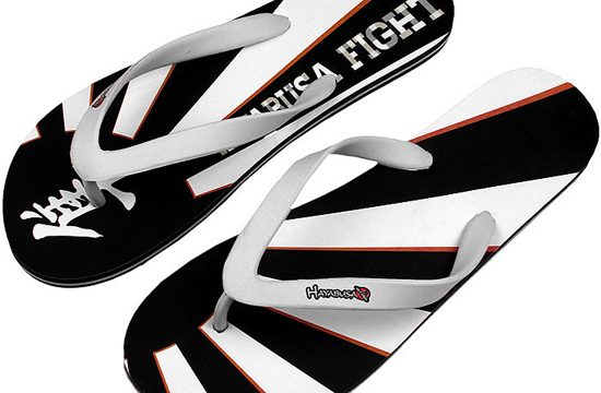 hayabusa-burst-flip-flop