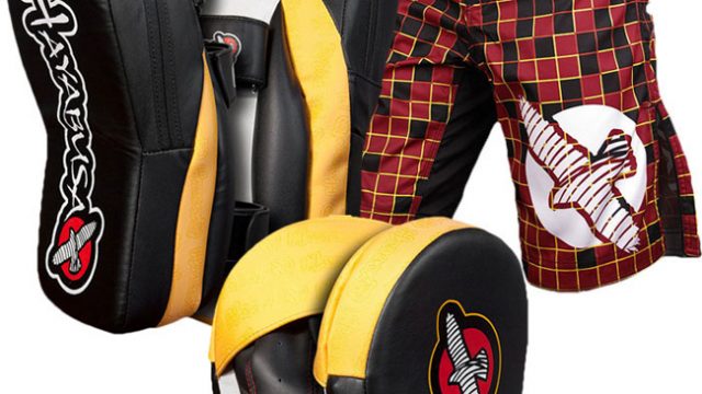 hayabusa-mma-training-gear-bundle