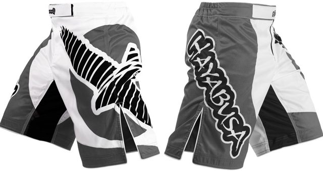 hayabusa-chikara-fight-shorts-grey