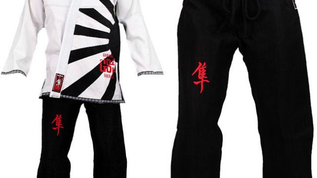 hayabusa-gsp-gi