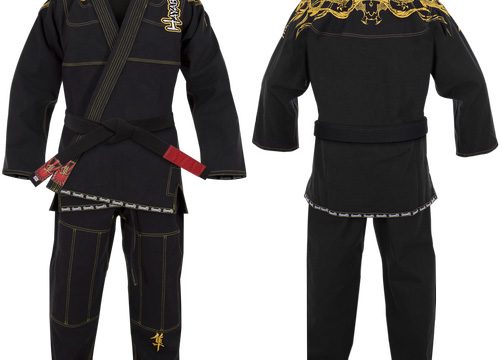 hayabusa-mizuchi-gi