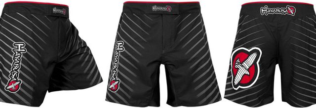 hayabusa-kasumi-shorts
