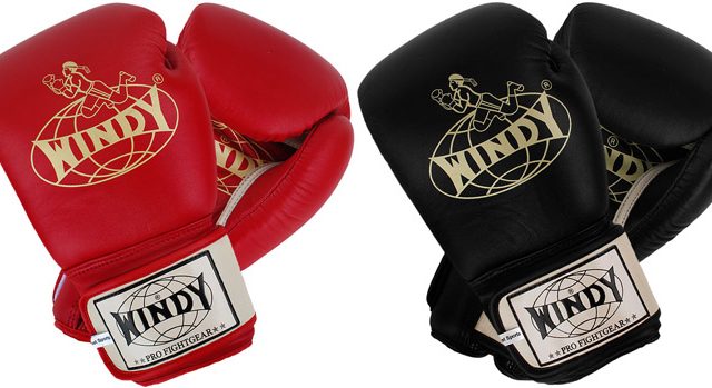 Windy Muay Thai gloves red