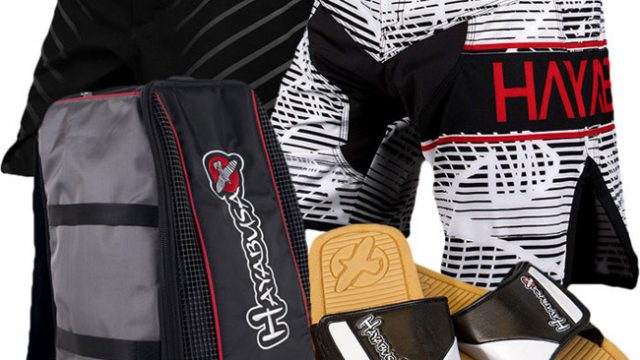 hayabusa-spring-overhaul-bundle