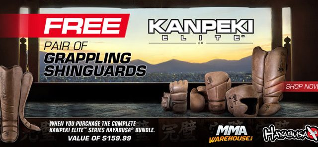hayabusa-kanpeki-shinguard-deal