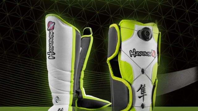 hayabusa-mirai-series-shinguards