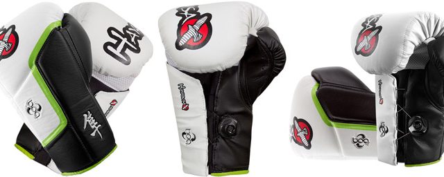 hayabusa-mirai-series-gloves
