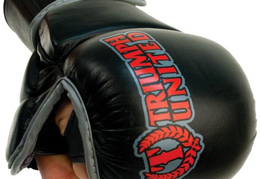 triumph-united-death-star-mma-training-glove